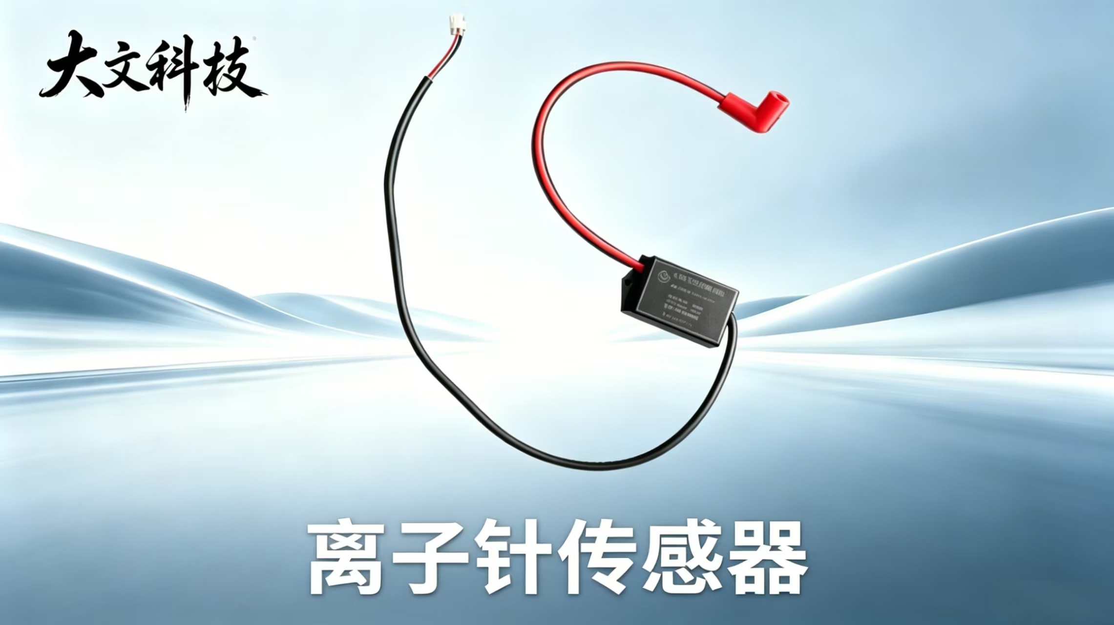 离子针传感器